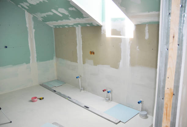 Best Attic Mold Removal  in Ottumwa, IA