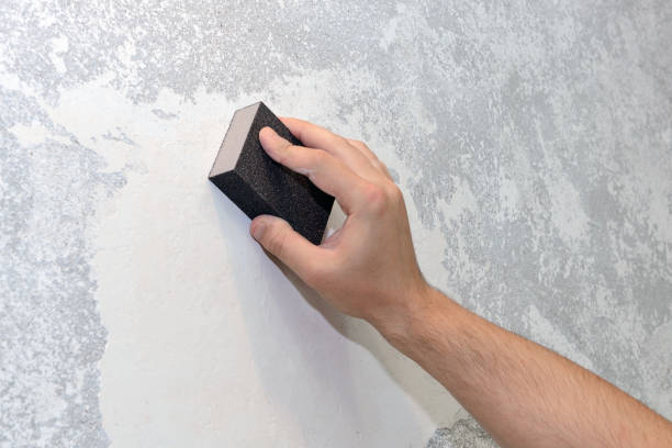 Best Biohazard Mold Removal  in Ottumwa, IA