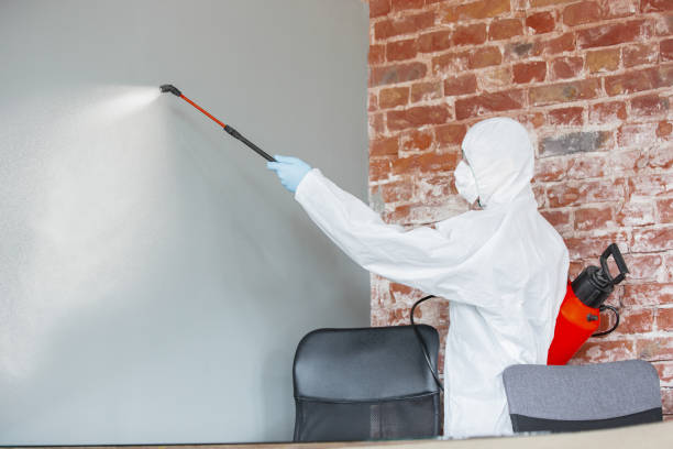 Best Crawl Space Mold Remediation  in Ottumwa, IA